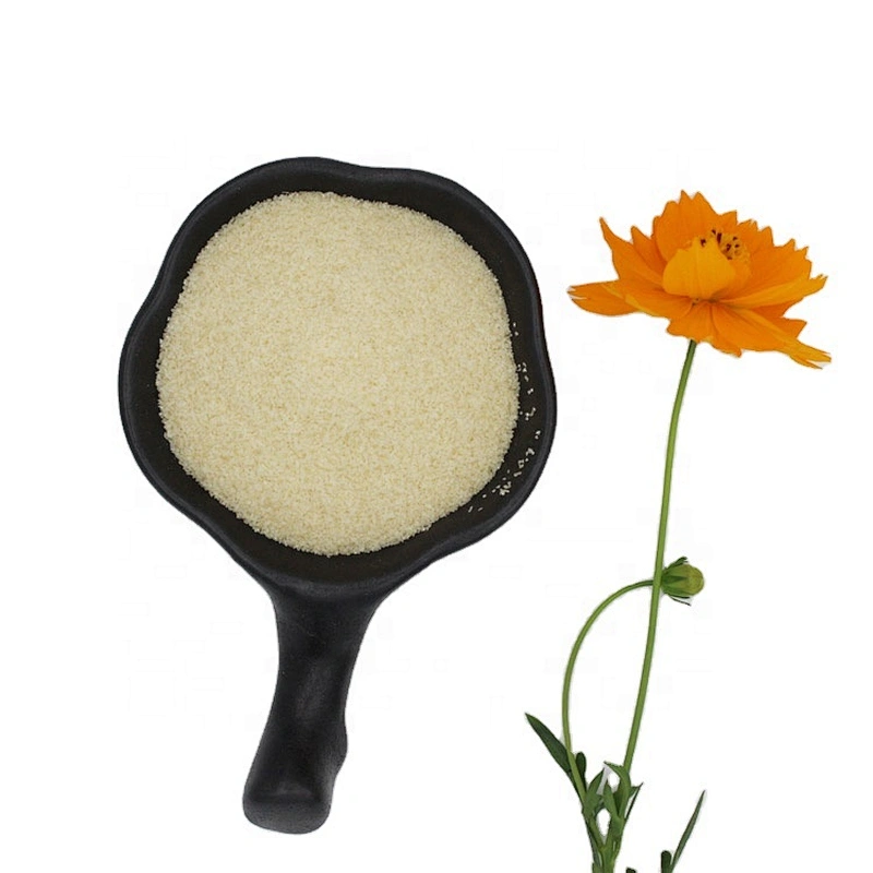 Best Quality Good Price Well Known Brand Granule Halal Gelatin for Food Additive Wholesale Price Gelatin