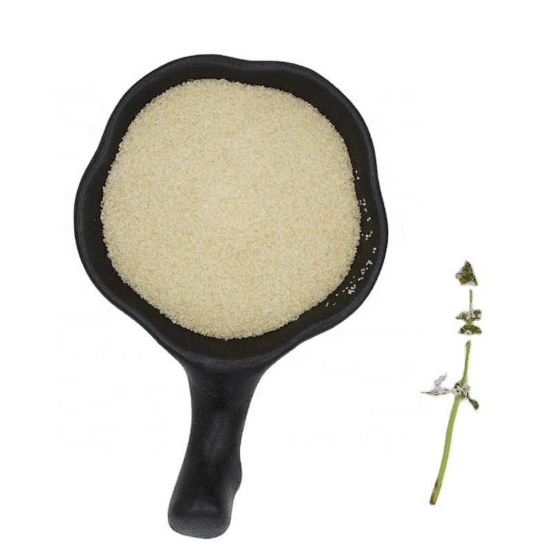 Best Quality Good Price Well Known Brand Granule Halal Gelatin for Food Additive Wholesale Price Gelatin